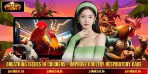 Breathing Issues In Chickens – Improve Poultry Respiratory Care