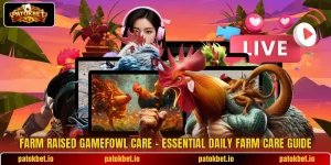 Farm Raised Gamefowl Care – Essential Daily Farm Care Guide