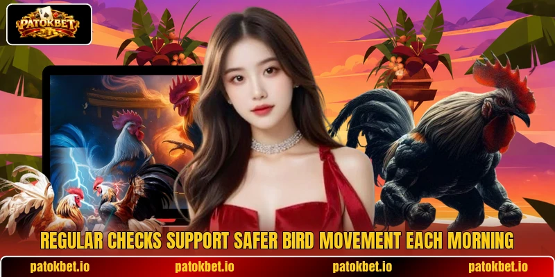 Regular checks support safer bird movement each morning Regular checks support safer bird movement each morning