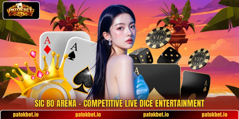 Sic Bo Arena – Competitive Live Dice Entertainment